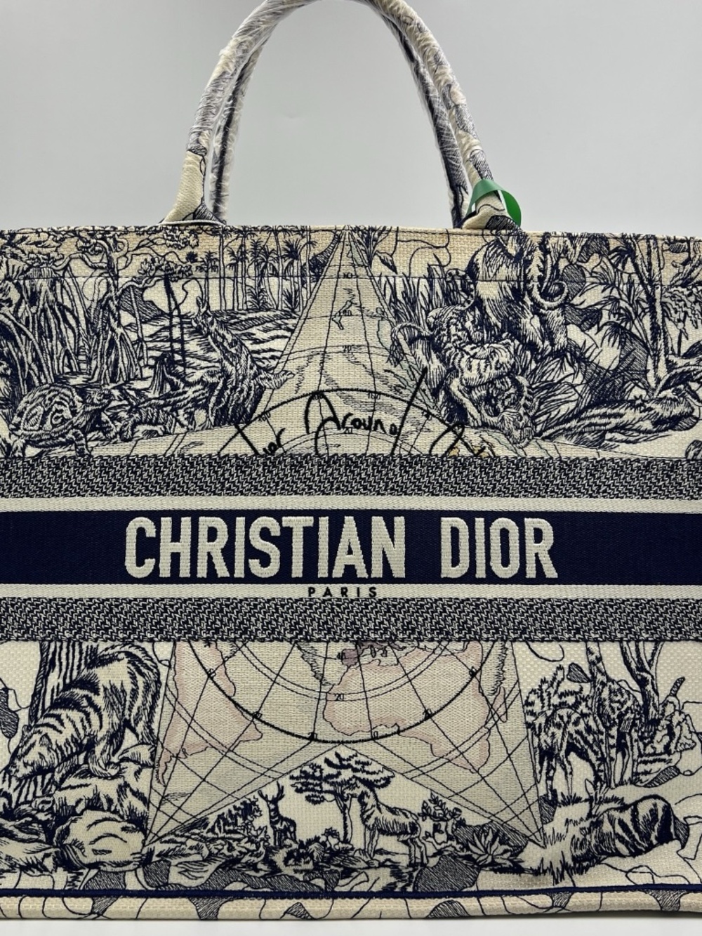 Gorgeous Bag Rarely Used!